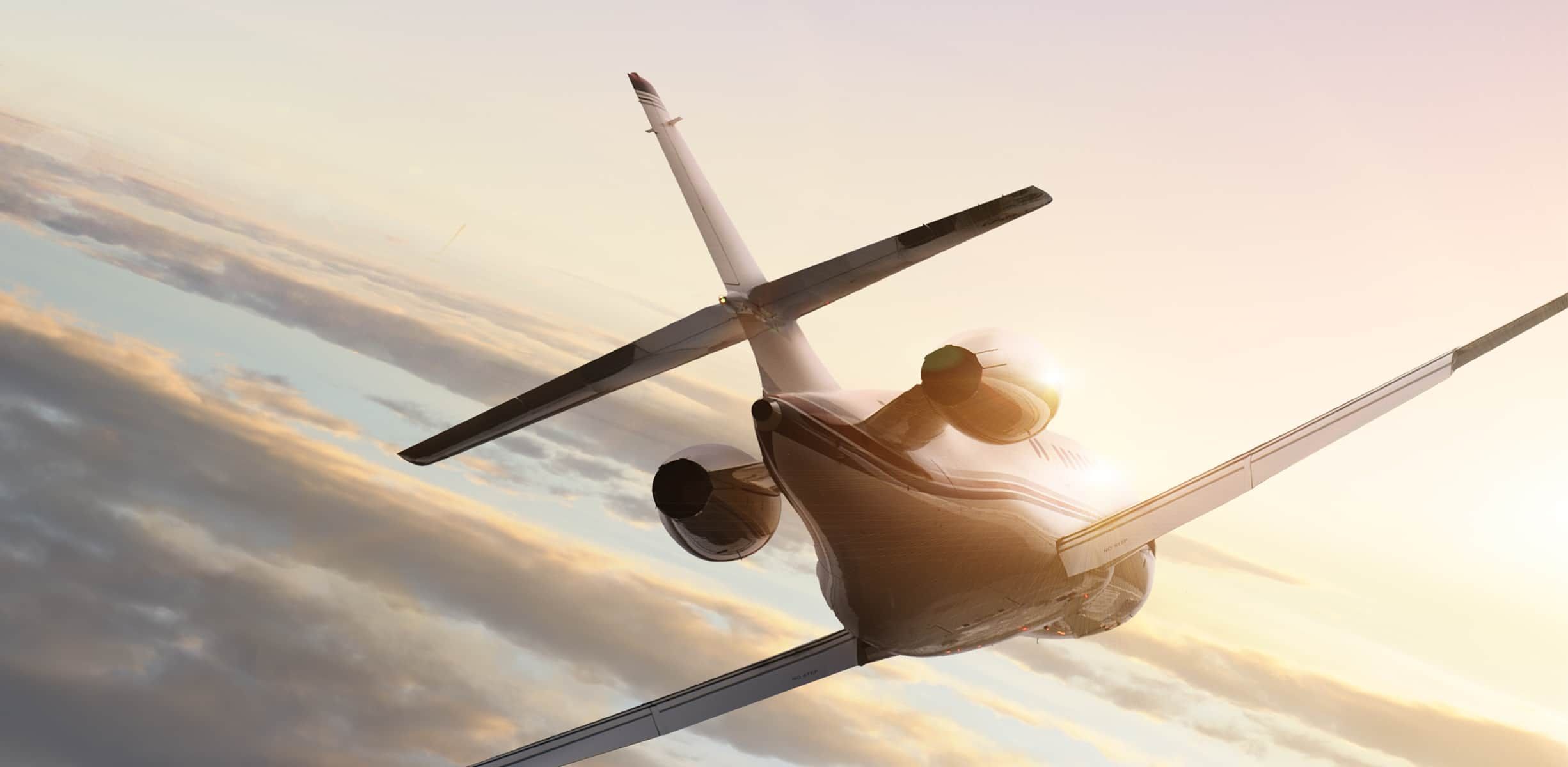 www.emptyleg.com