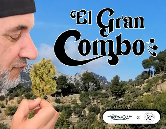 El Gran Combo paquet CBD germà L i el Dr. Verdtom