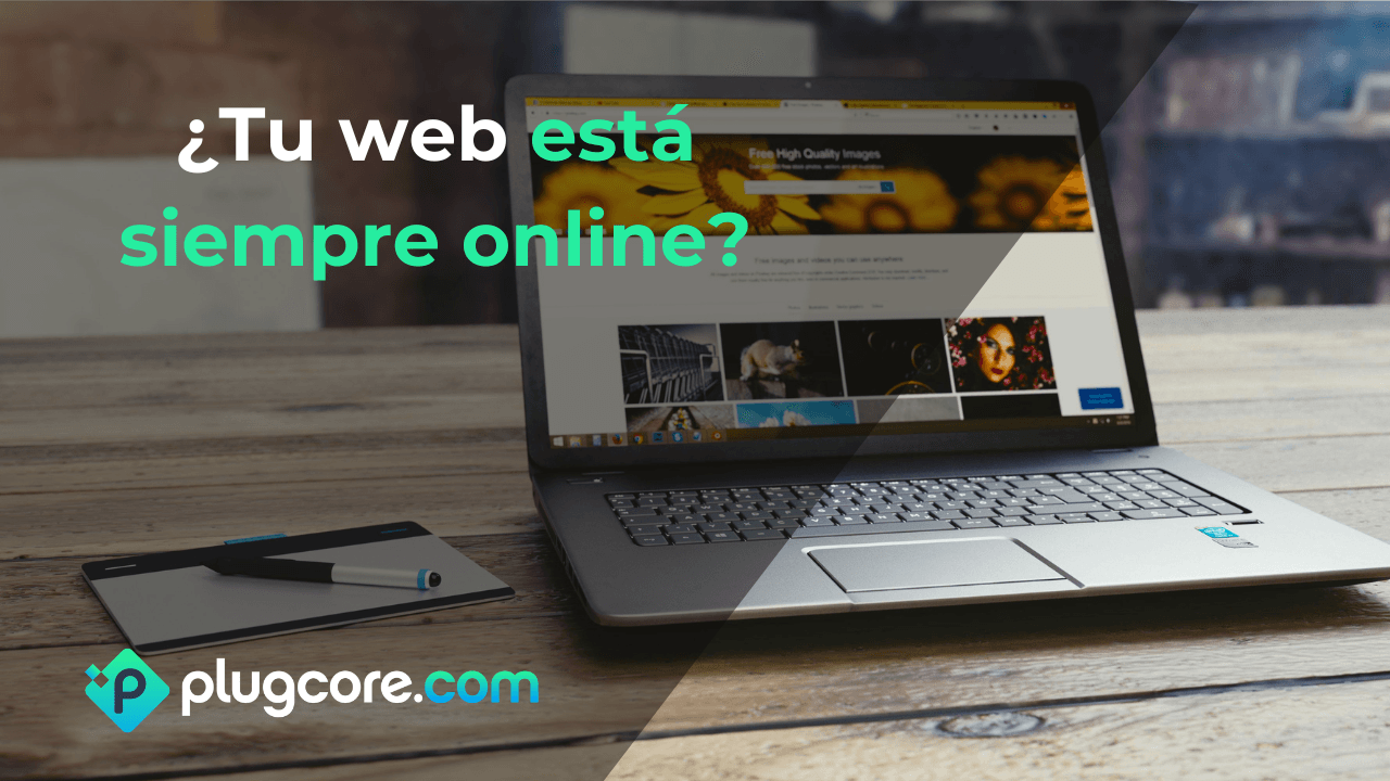 ¿Tu web está siempre online?